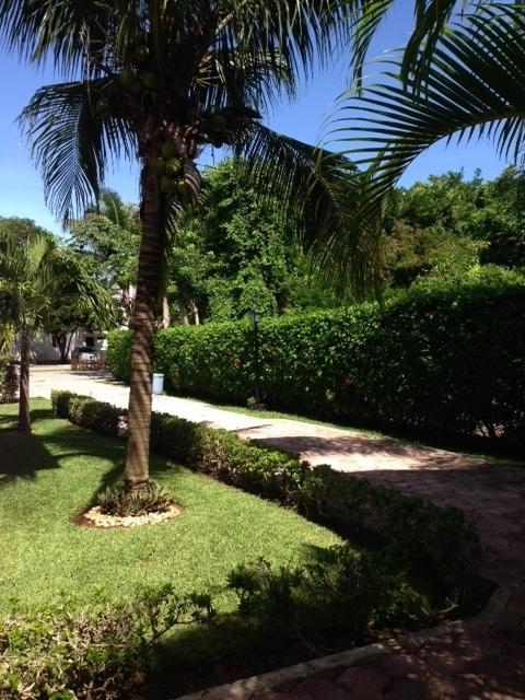 B&B Villa Hibiscus Playa del Carmen Exterior photo